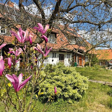 Ferienhof Rauchhaus Karft Exteriér fotografie