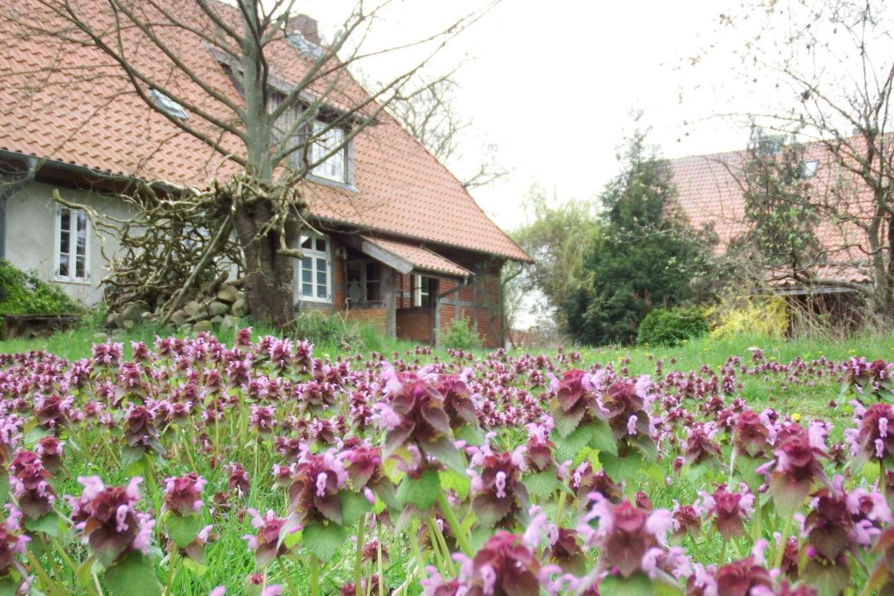 Ferienhof Rauchhaus Karft Exteriér fotografie